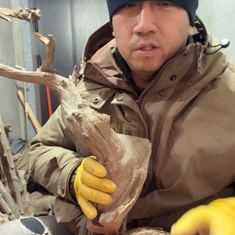 柏木月****的崖柏毛料的设计