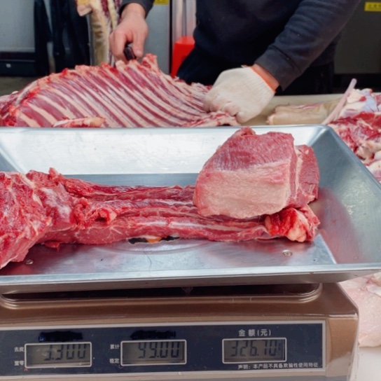 【闪购商品】冷冻保存30天包装河北省哲*