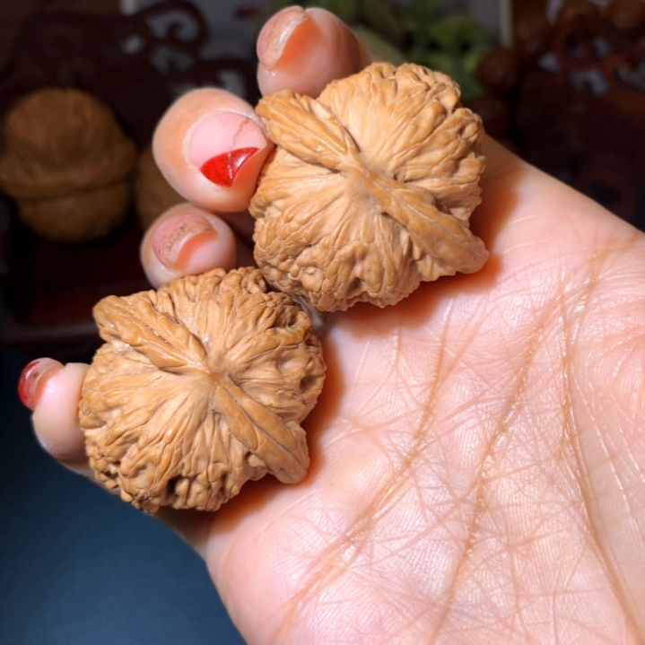 文玩核桃把件马老四37.5