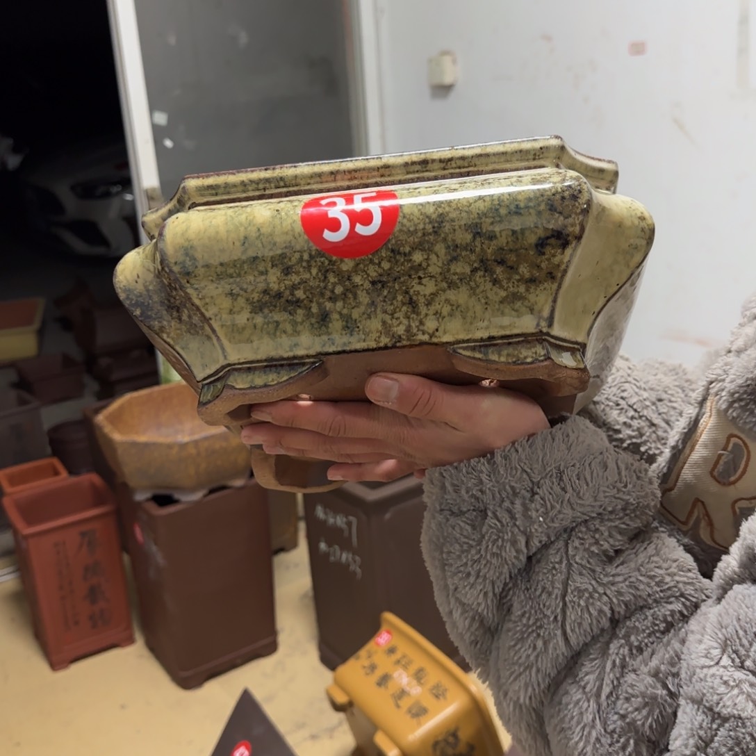 紫砂花盆呜呜呜呜