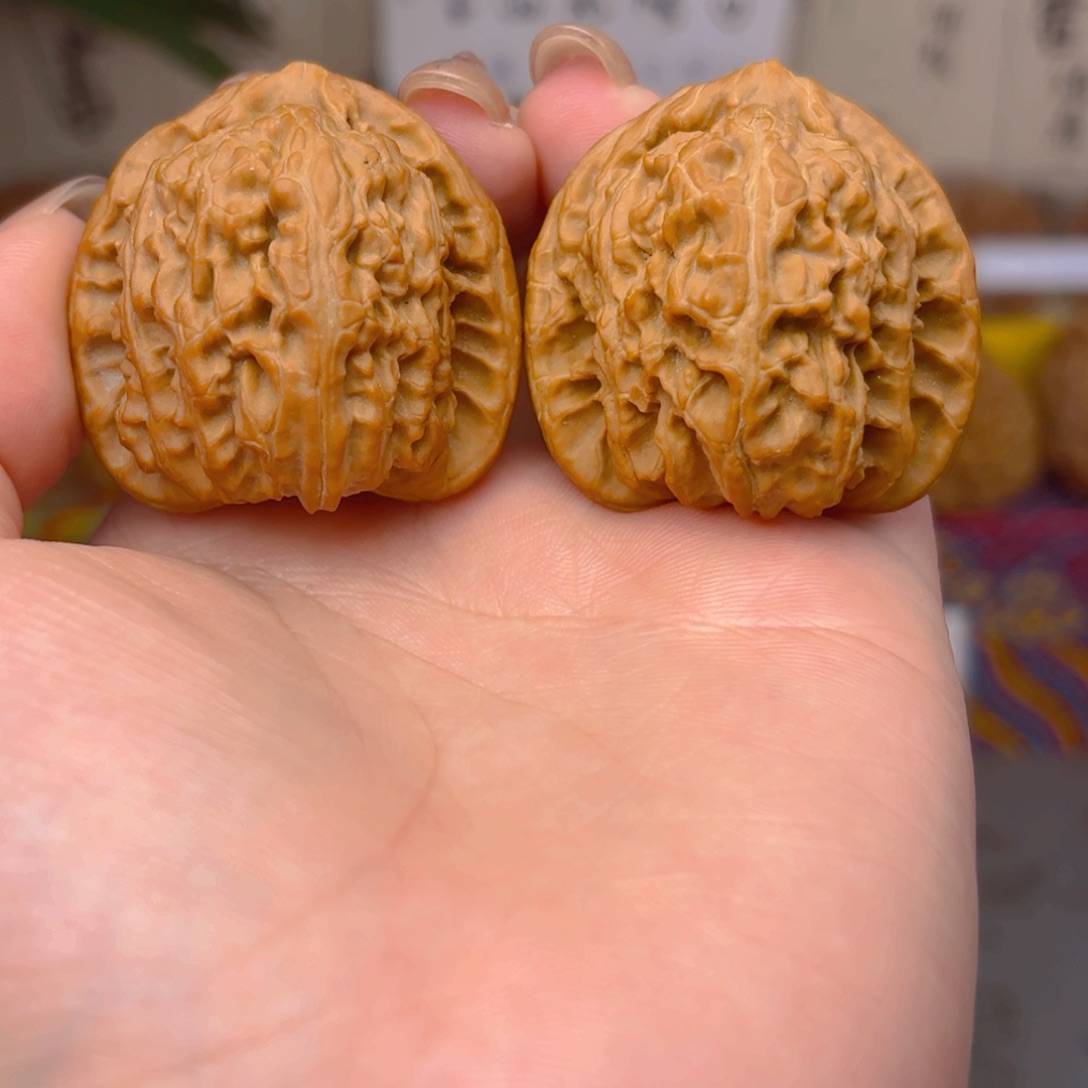 白狮子头三十八尺