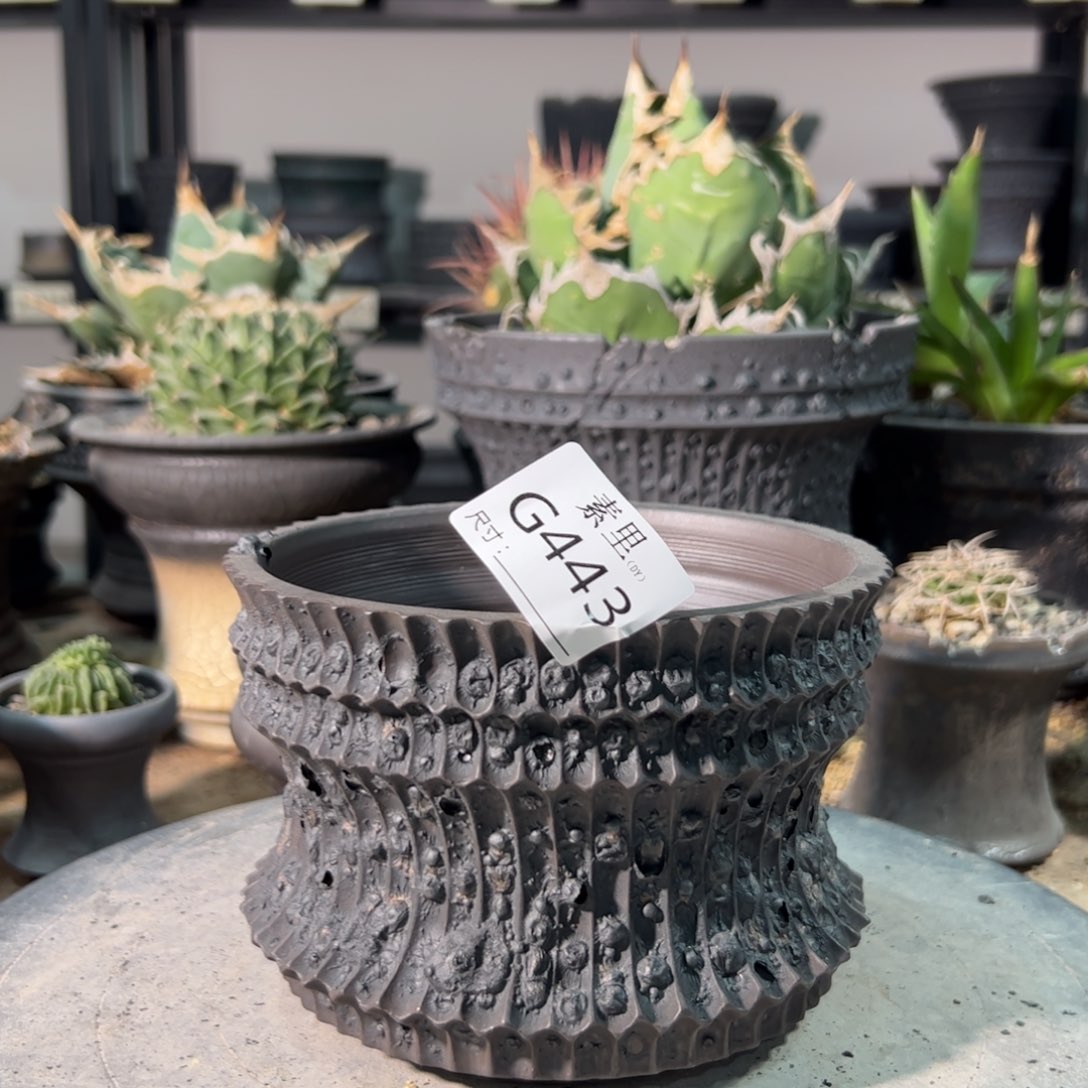 景德镇素里手工内口13高10