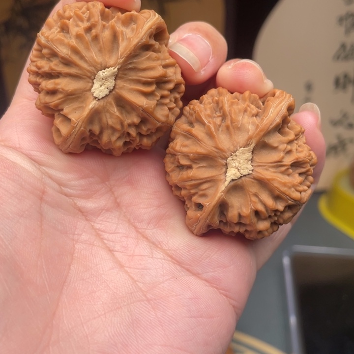 核桃40➕全品宫灯狮子头