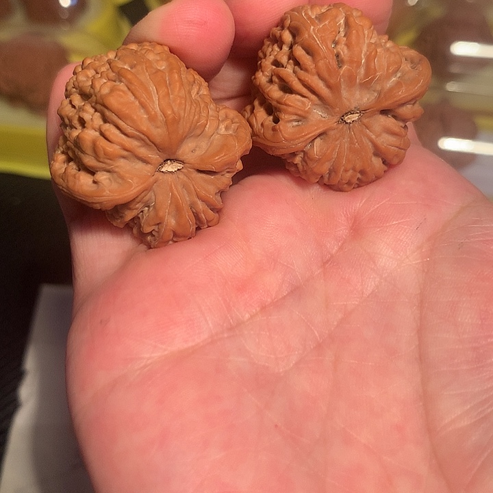 布***德文玩核桃吊坠32尺红玛瑙