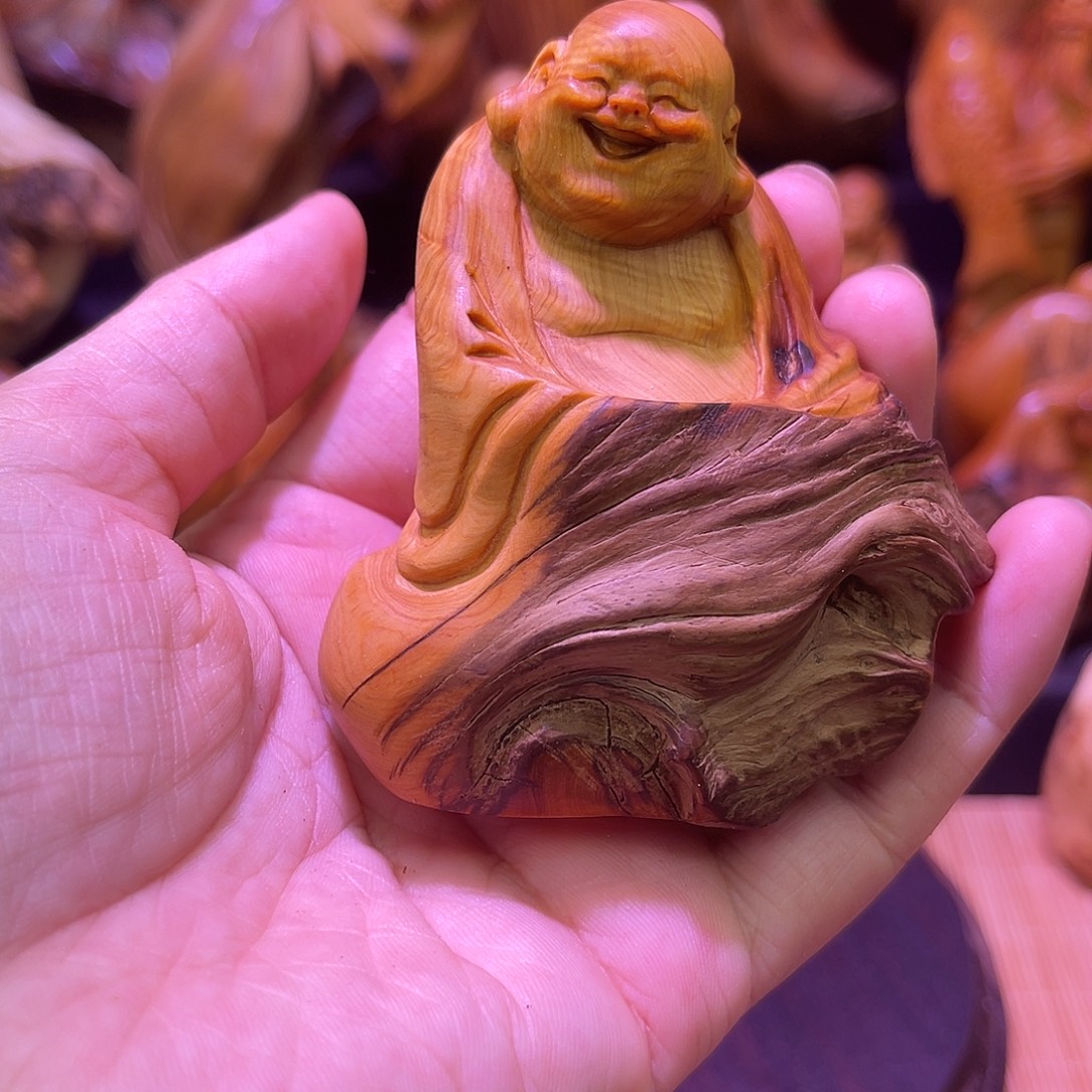 柏木8888888888888888