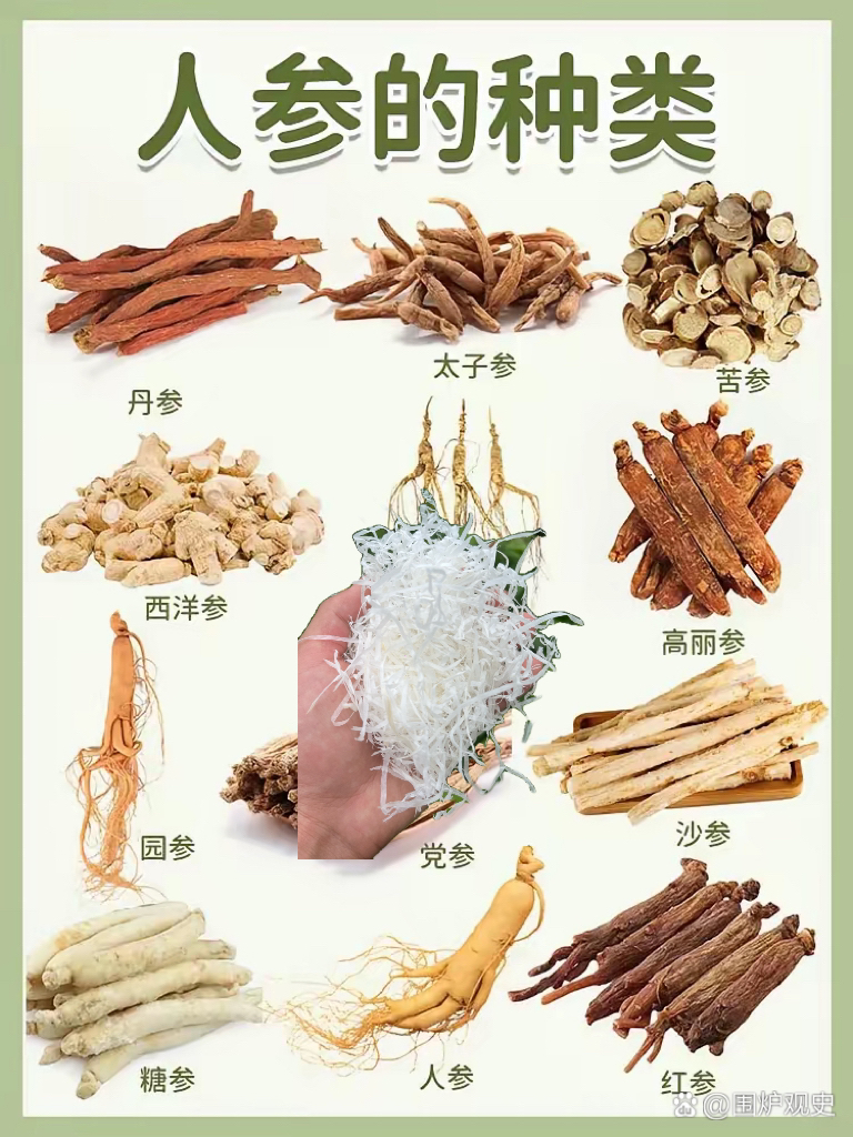 【彭彭现収山货】缅-角-丝-50g-250g农产品