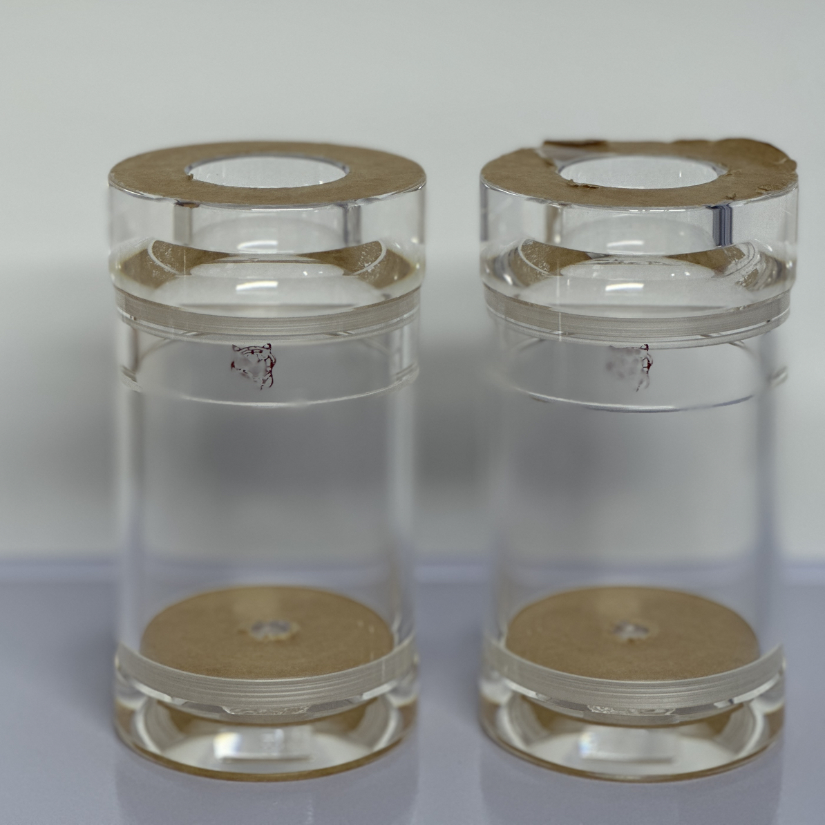 老王正版水晶罐蝈蝈罐（带等间距簧）+大包精品蝈蝈一只+顺丰包邮