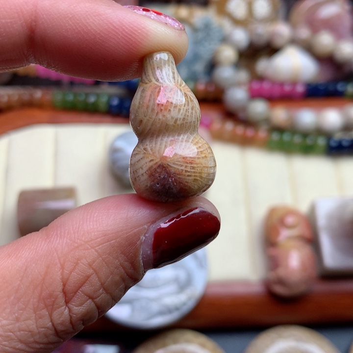 硅化珊瑚（珊瑚玉）颈饰未镶嵌