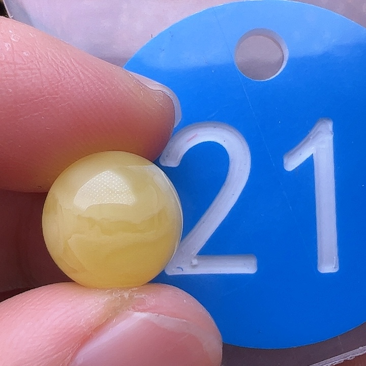 蜜蜡裸石未镶嵌11.6m m