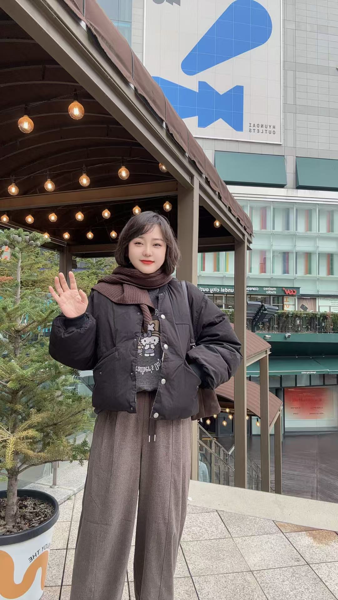 东大门正品双面穿立领鹅绒服【不支持退换】