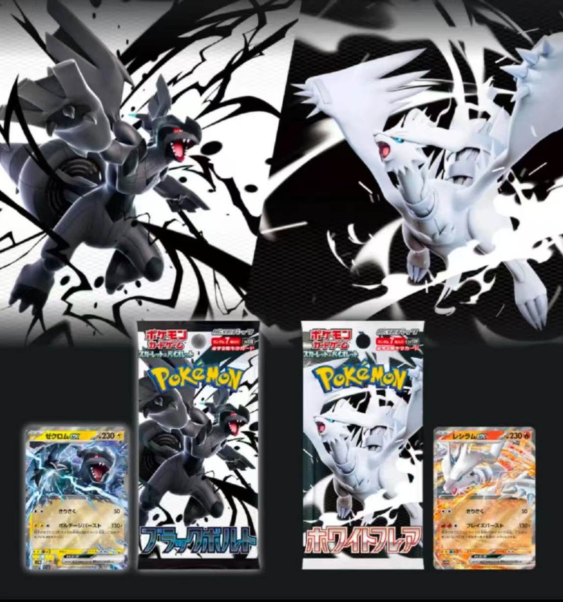 日版sv11黑白龙（端盒/散包） 【我已成年同意代拆】