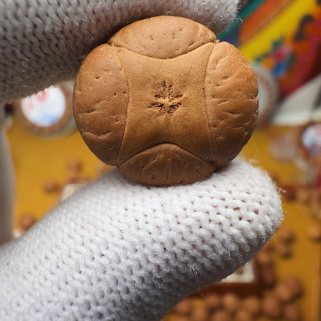 W***Y20麒麟单籽，一物一图