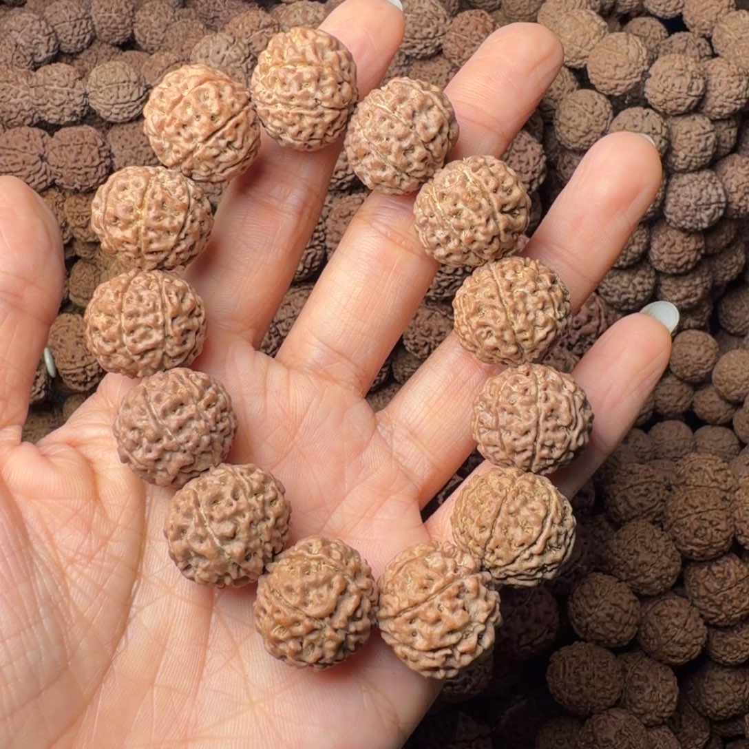 金刚菩提手串8瓣卡18尺，23号