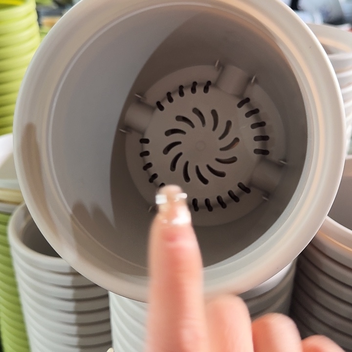 四季2号灰白无托10个