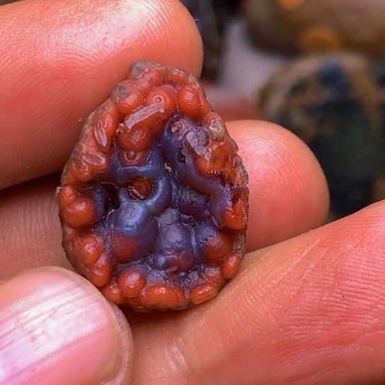 之***生你们怎么知道为什么