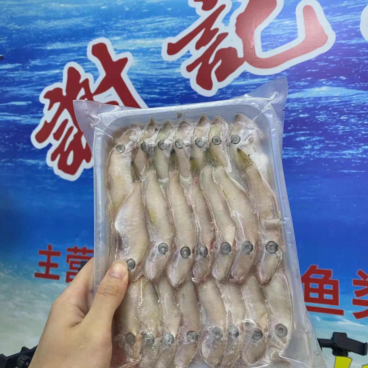《二档专属》谢记海产品新鲜白皮迪仔鱼