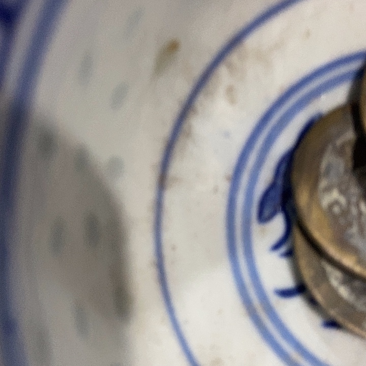 猫***庄瓷片zvfghffgftffttdffduhh