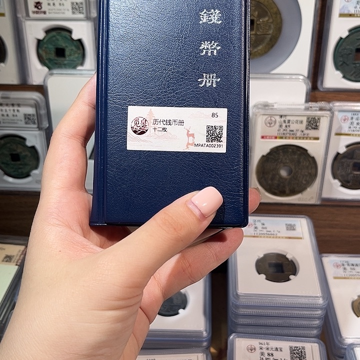 铜洛神 历代钱币册