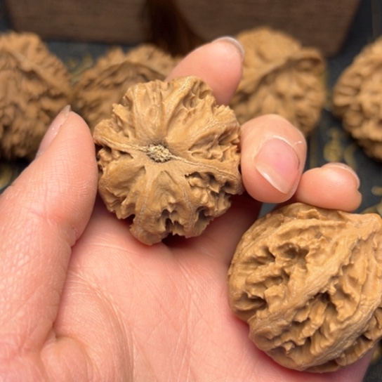 文玩核桃吊坠秦岭核桃10