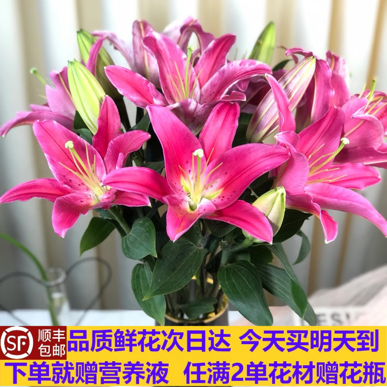 红色香水百合8-9朵昆明鲜花今天买明天到顺丰包邮次日达送花上门一单就送营养液二单花材赠送花瓶