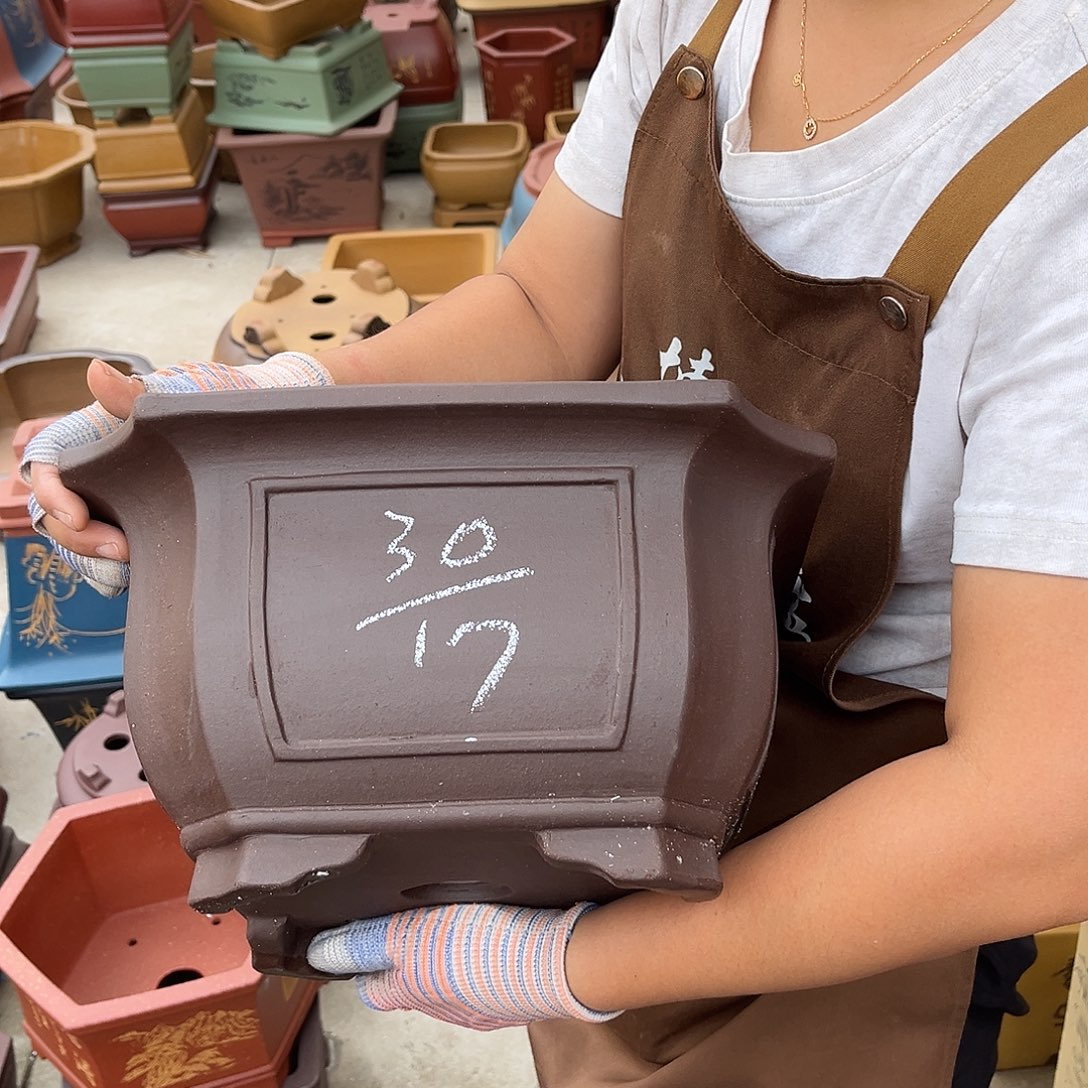 紫砂花盆盆景艺术