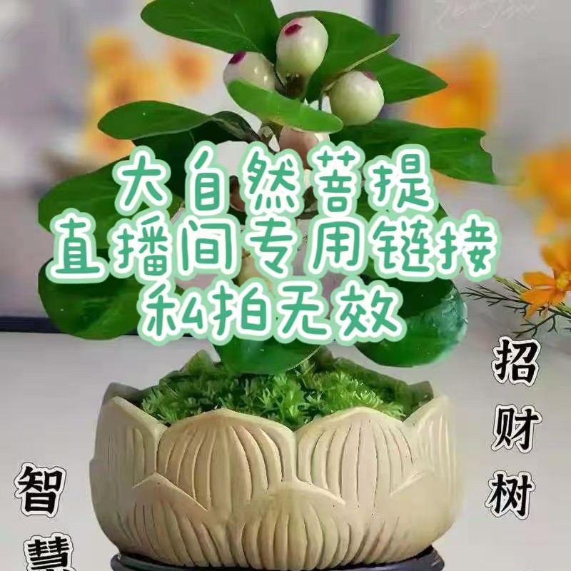 原生态炭烧蒜瓣手捻解压盘玩指尖串第diy串珠文玩