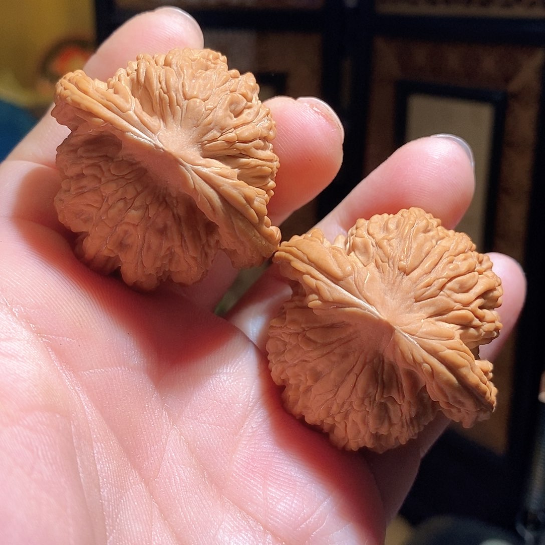 文玩核桃把件44虎头全品