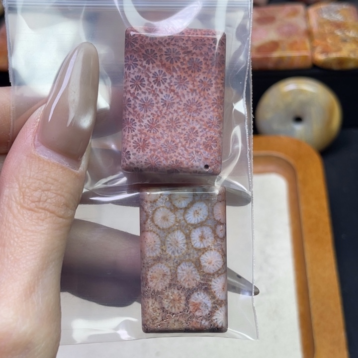 未镶嵌吊坠硅化珊瑚（珊瑚玉）