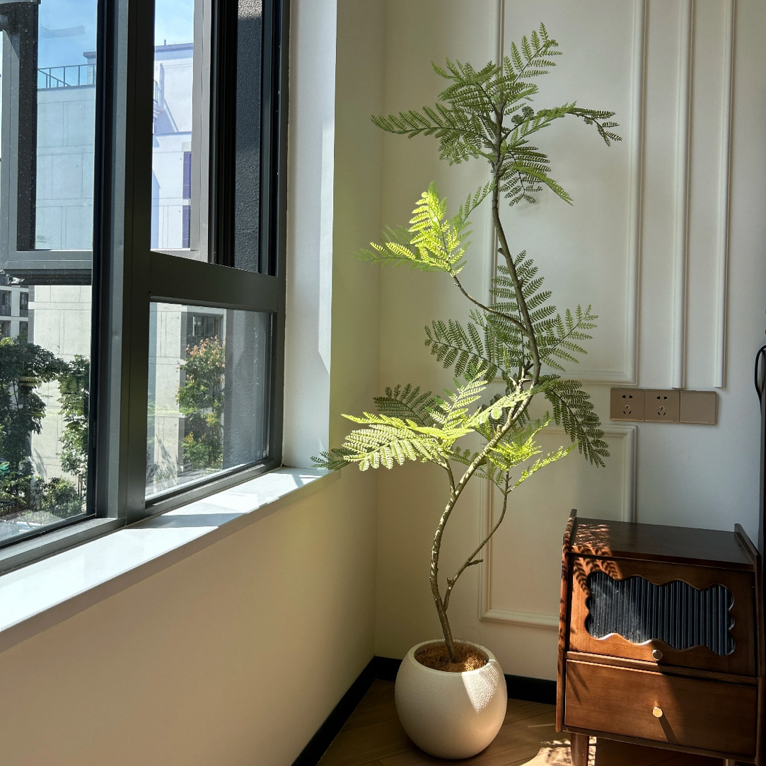 室内网红蓝花楹大型极简风客厅卧室落地轻奢风净化空气植物绿植