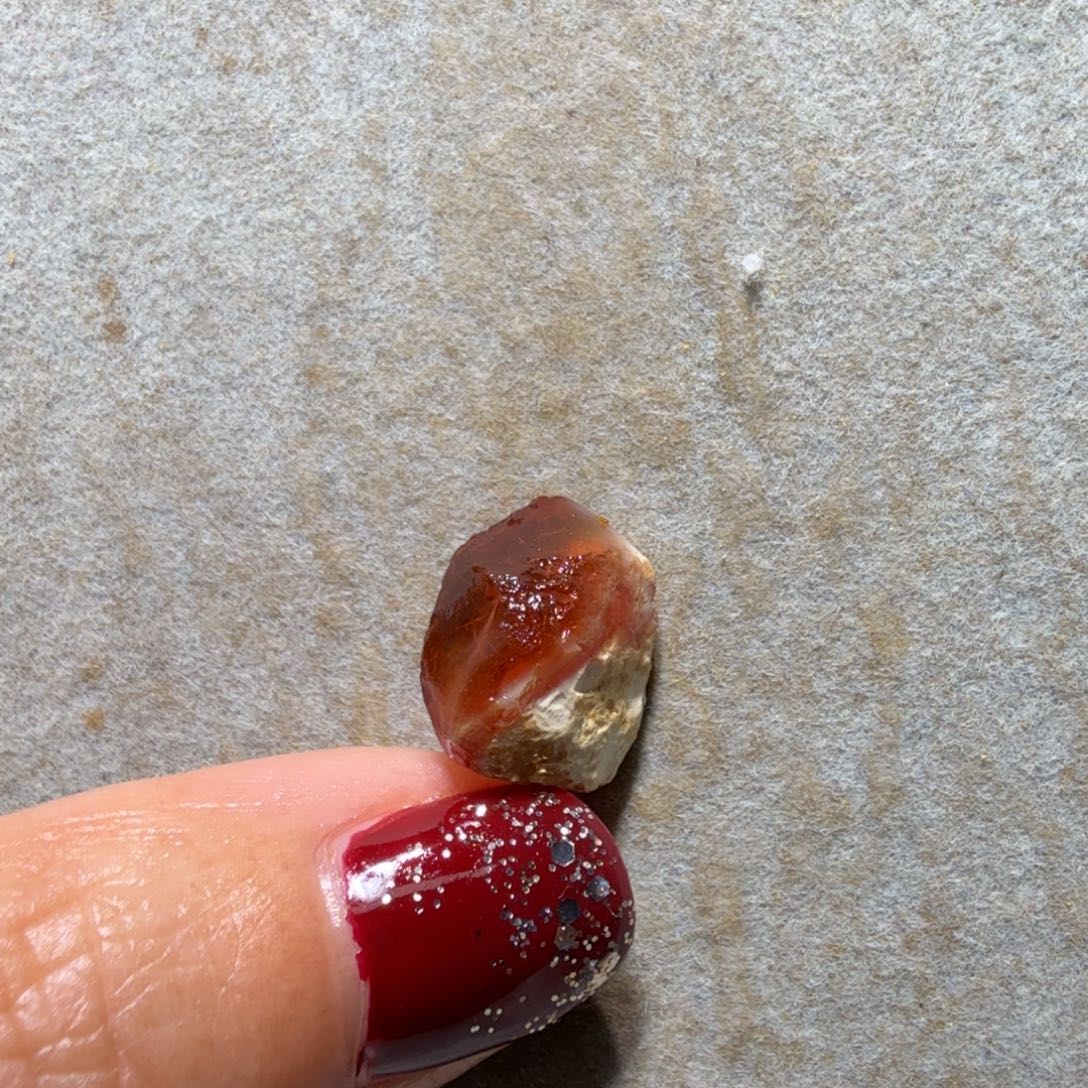 小***兽琥珀未镶嵌裸石专拍