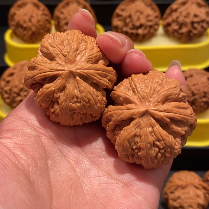 文玩核桃42.5尺大粗筋