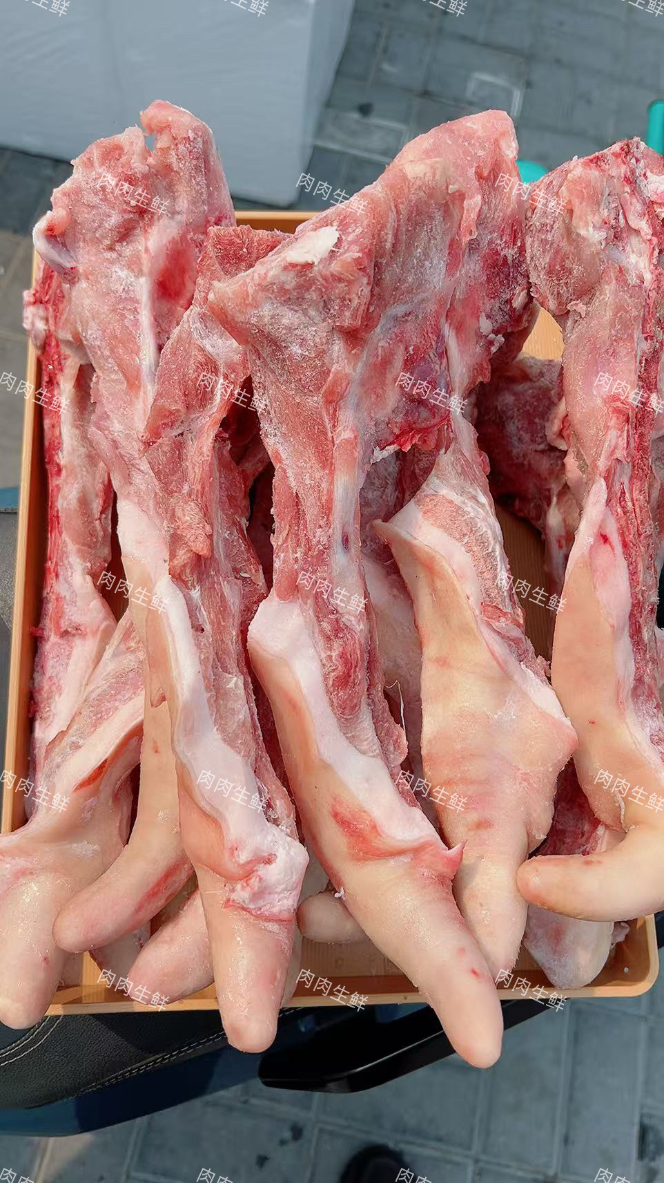 新鲜猪尾骨带一点尾尖鲜冻发货顺丰包邮