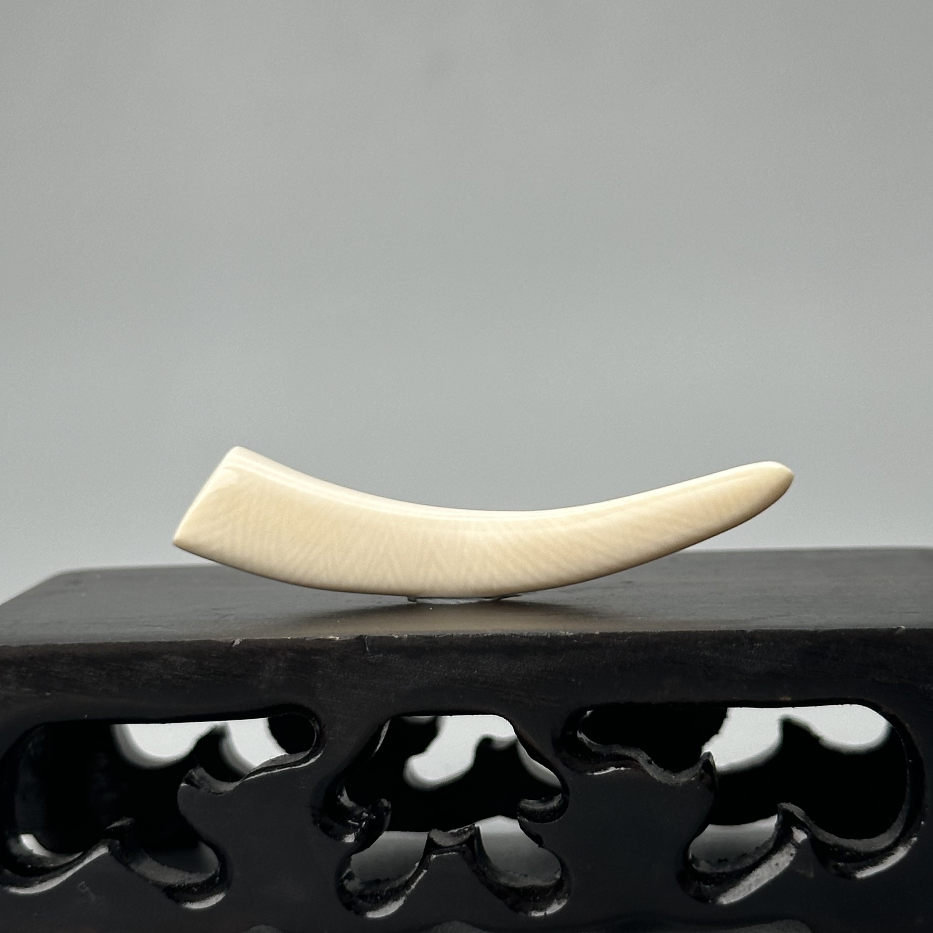 DEZHI/德志2.1g纯肉牙尖46*8*7mm天然猛犸牙默认打孔绑绳P294