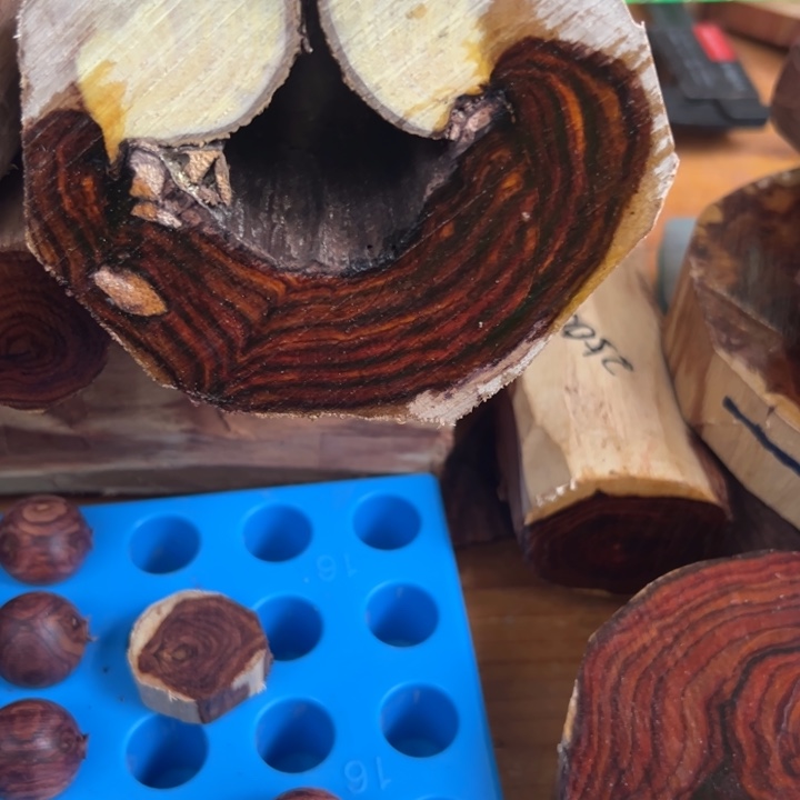 蒲***哥黄花梨/降香黄檀把件