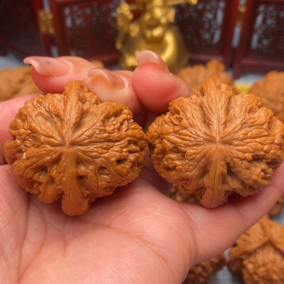 文玩核桃把件42全品毕业粗筋