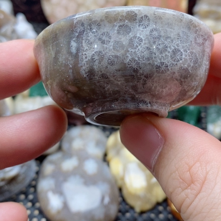 硅化珊瑚（珊瑚玉）颈饰未镶嵌