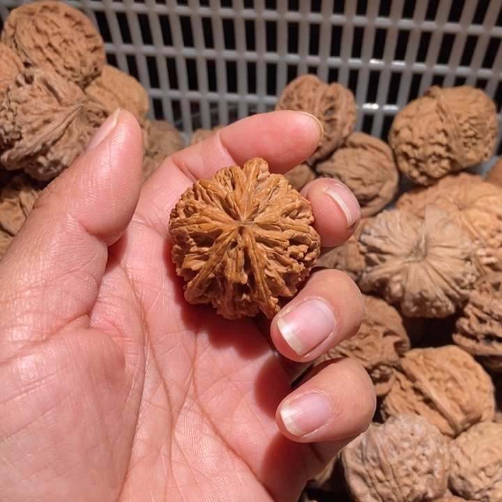 *****核桃苹果园三棱尺寸40全品