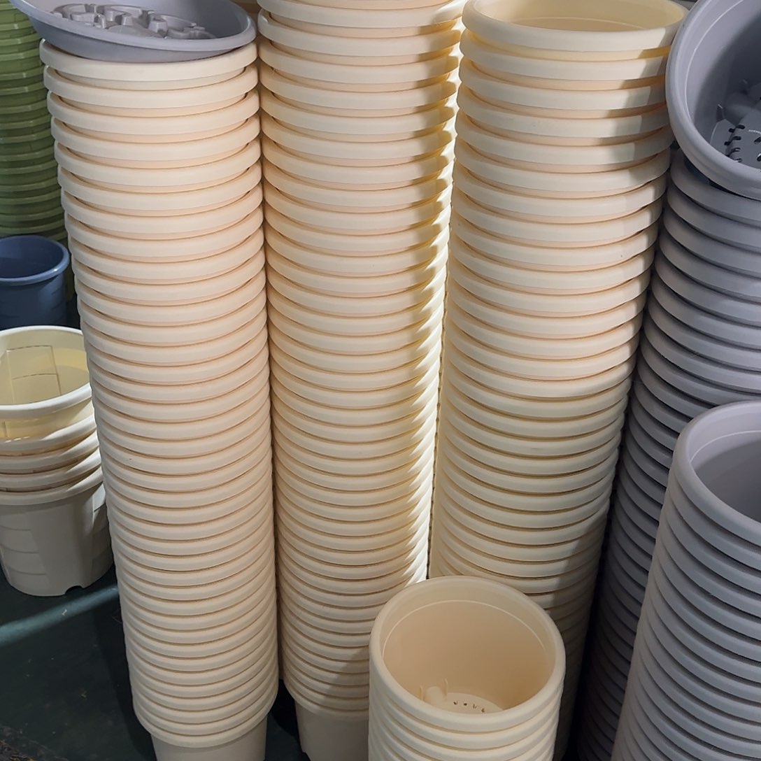 树脂四季3号无托10个颜色留言