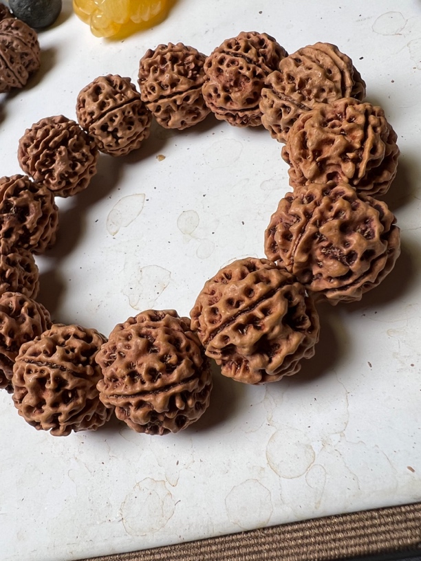 原生态大金刚粗筋双龙练手料无黄