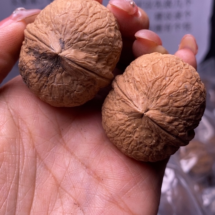 核桃云南野生铁核桃145号38mm