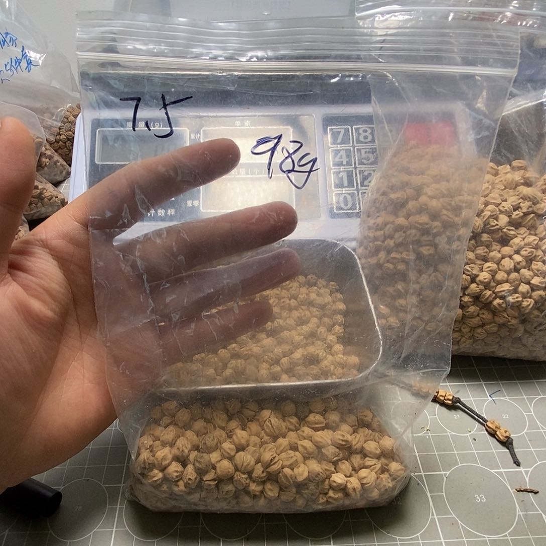 柏香籽/百香籽吊坠