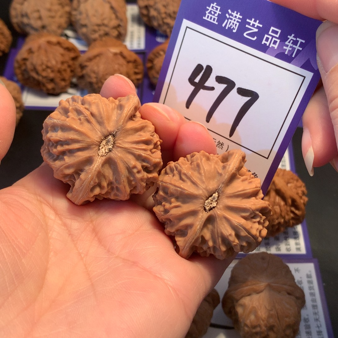 核桃477宫灯40.5全品