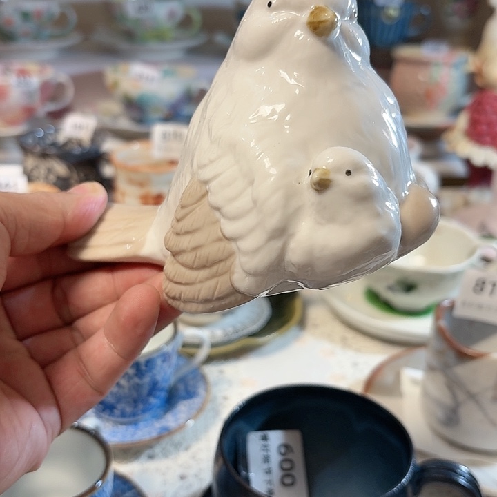 瓷片孤儿寡女的孤陋寡闻