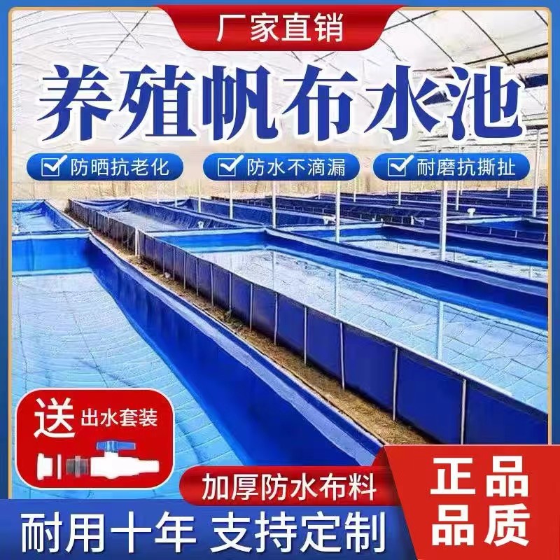 蚂蟥池刀刮布帆布鱼池养殖水池蓄水池刀刮布特厚鱼池帆布养殖池
