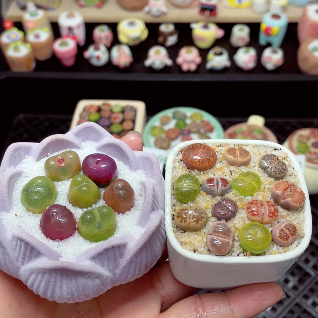 w8092 带盆土发货-零下地区拍保温箱