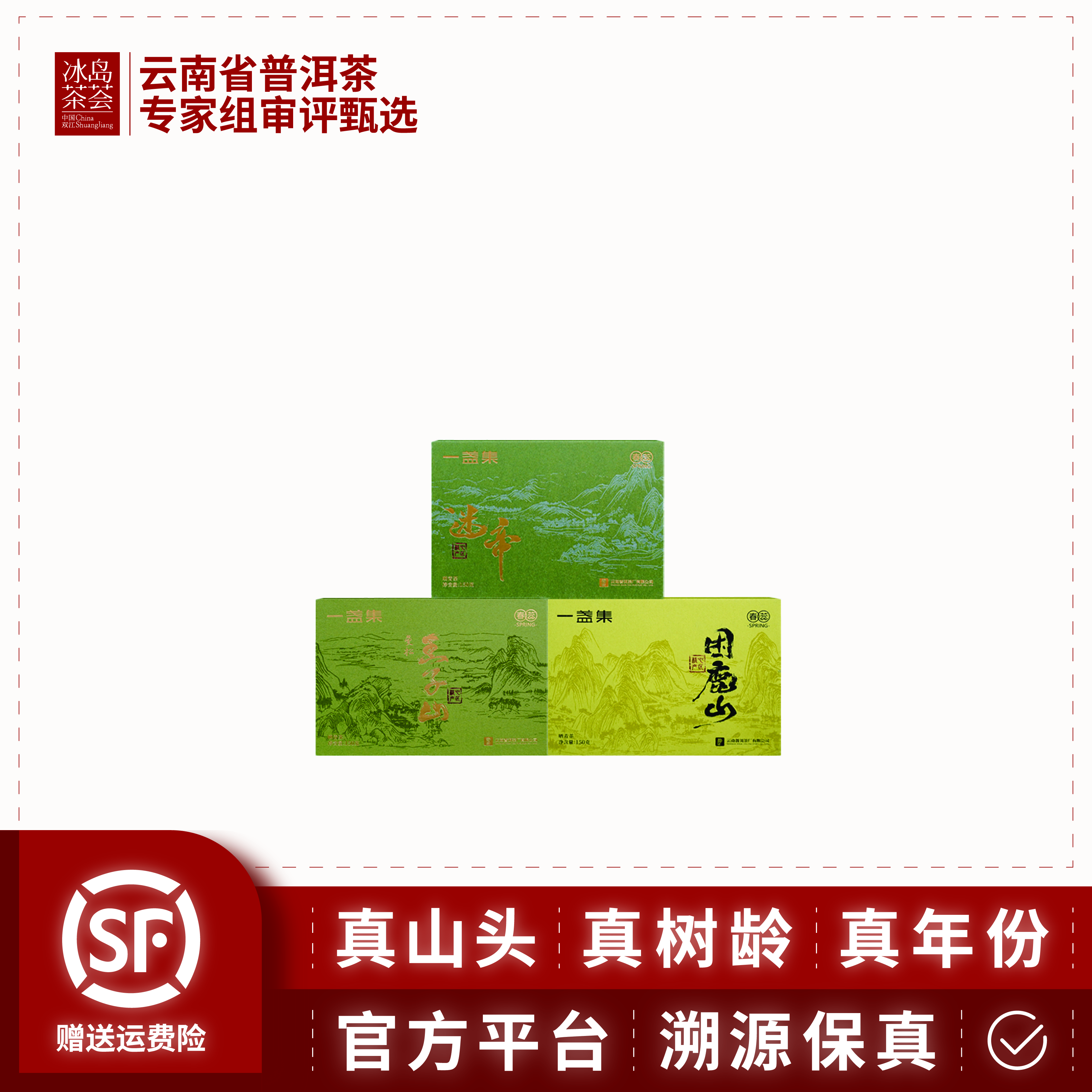 普洱茶厂-一盏集春蕊-2025年-晒青茶-150克/3盒-6月16