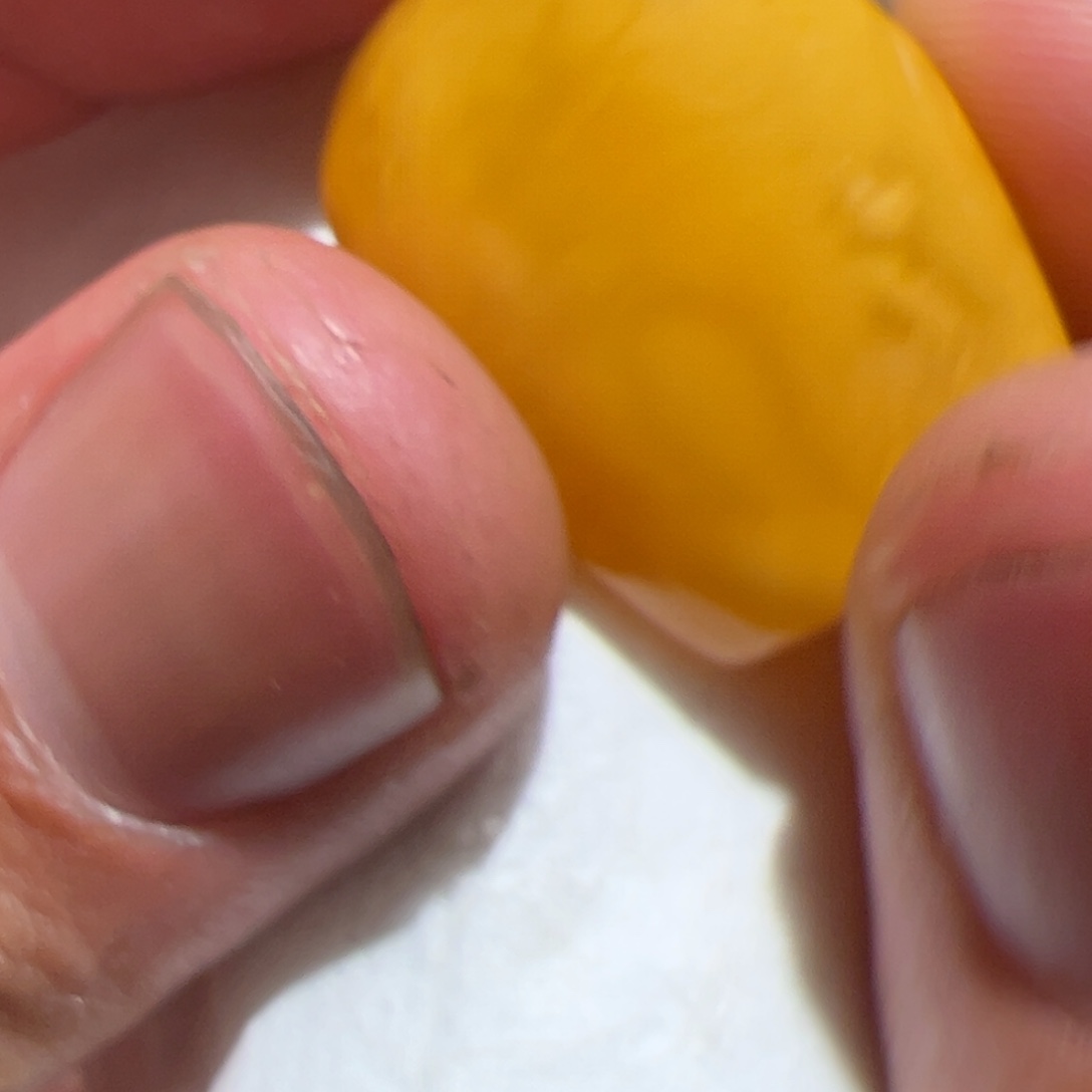 香榧木你的时候你