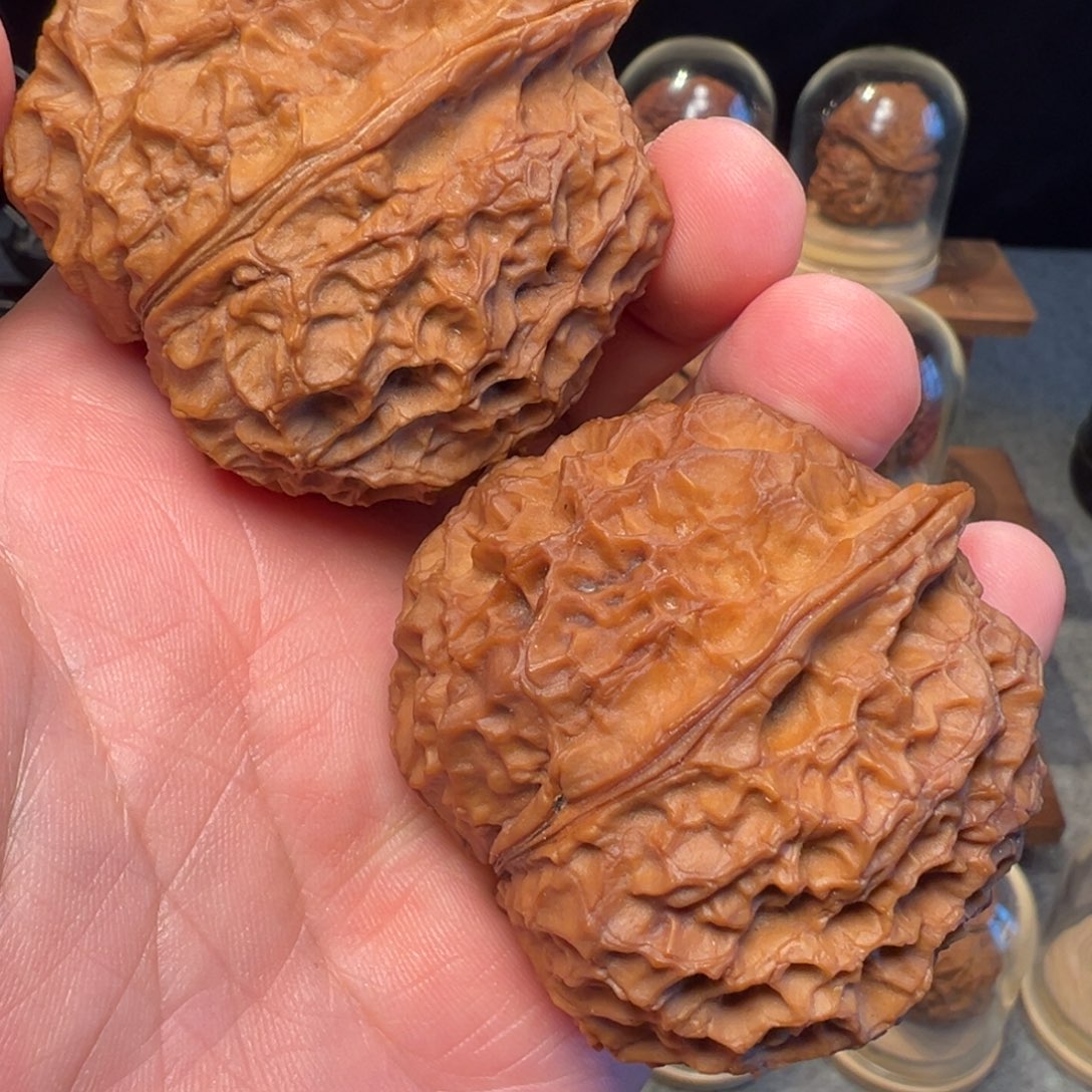 文玩核桃把件芙蓉王50.5mm