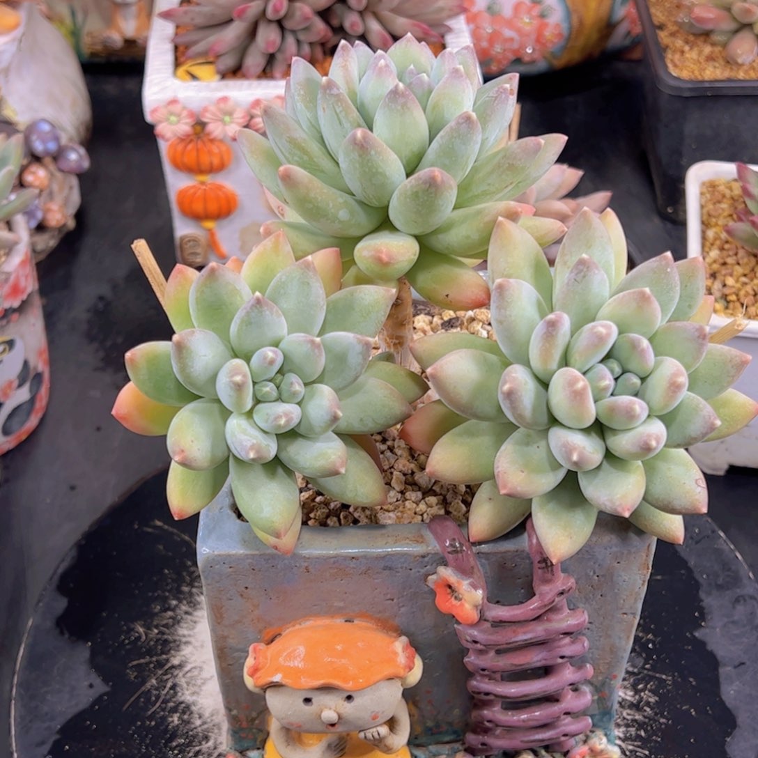 钟****馆111111111111111