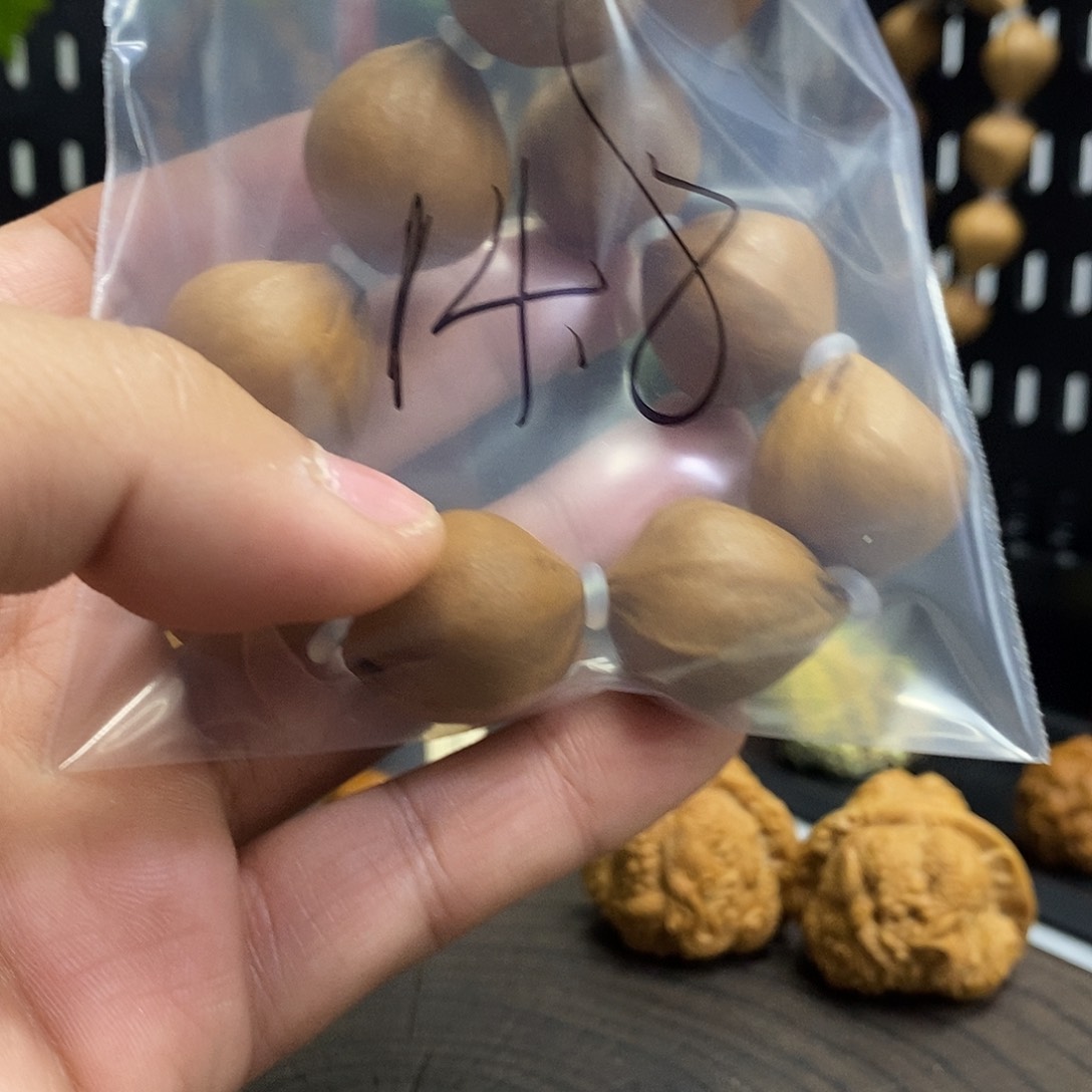 橄榄核手串/手链36699998888